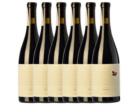 Vinho TAYAIMGUT Tayaimgut Frsssc Merlot Crianza (0.75 L - 6 unidades)