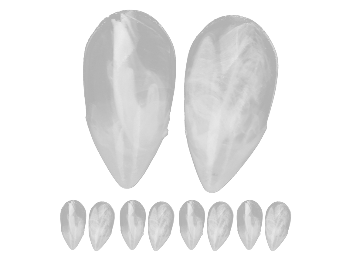 KOFIHETY Conjunto De Dentes Falsos Para Festa De Halloween Dentaduras De Resina Transparente, 10 Unidades, Acessório Para Cosplay E Decoração