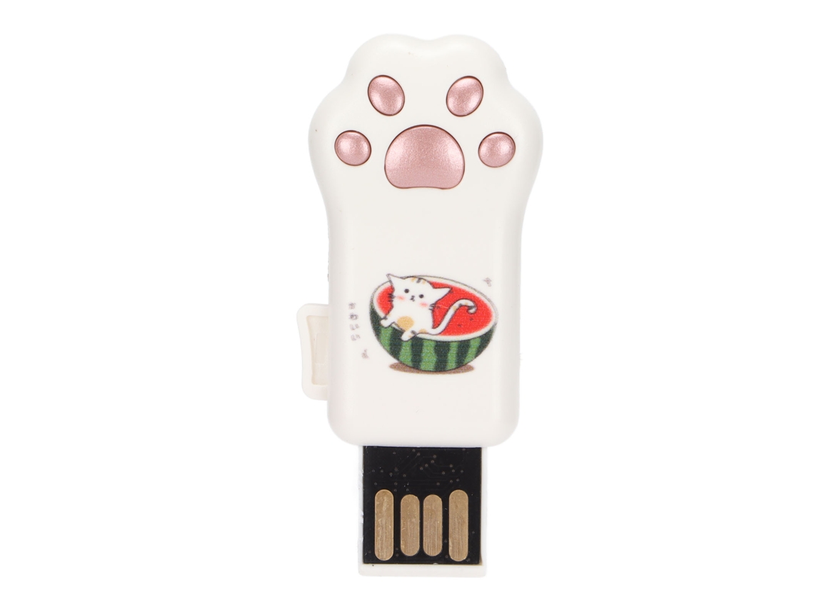 Pen Drive Usb De Plástico, 64gb, Design De Garra De Gato E Melancia, Presente Personalizado.