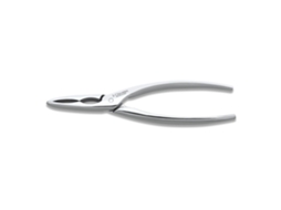 Cortador Profissional de Marisco 3 CLAVELES (16 Cm)