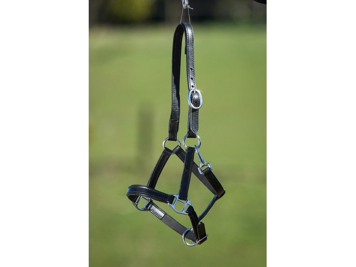Cabresto de couro forrado para cavalos HFI