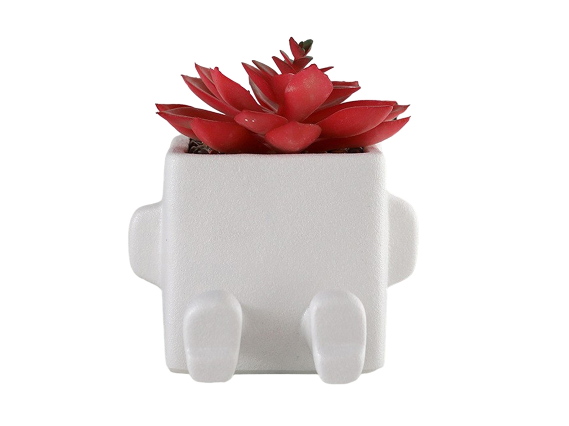 Vaso de cerâmica Baok para suculentas - Lindo vaso para plantas suculentas, ideal para decoração de interiores e exteriores.