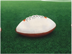 Manta de Flanela Ultramacia Phayah com Estampa Bola Rugby Branca Ideal para Sofá Cama Sala Estar Escritório e