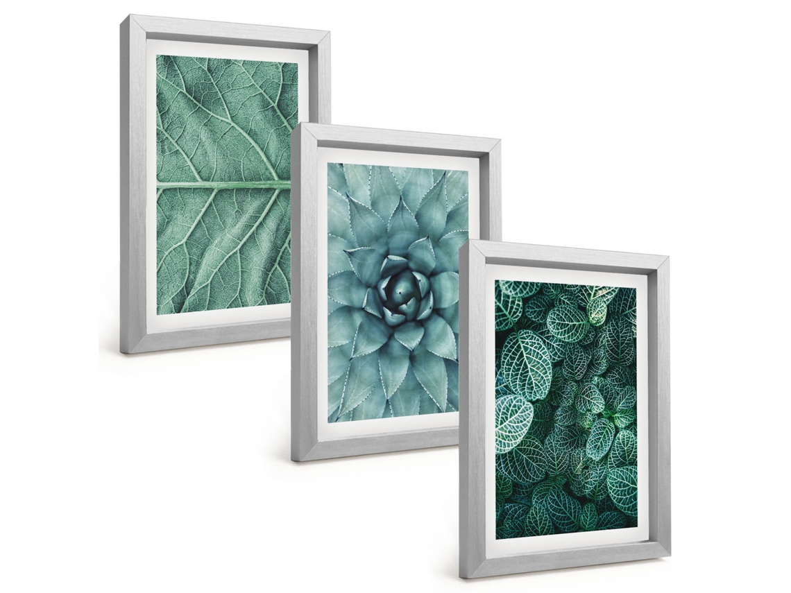 Composição De Quadrosclose-ups De Plantas E Folhas Moldura Prateada Imagens Para Um Quarto Infantil Espelharte (3 Peças 20x30 Cm)