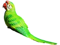 Perroquet Mural Em Resina Real - Imitação De Oiseau - Decoração Suspensa Para Interior E Exterior - Verde