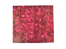 Adesivo de Escada 3d Flor de Rosa Autoadesivo 6pcs