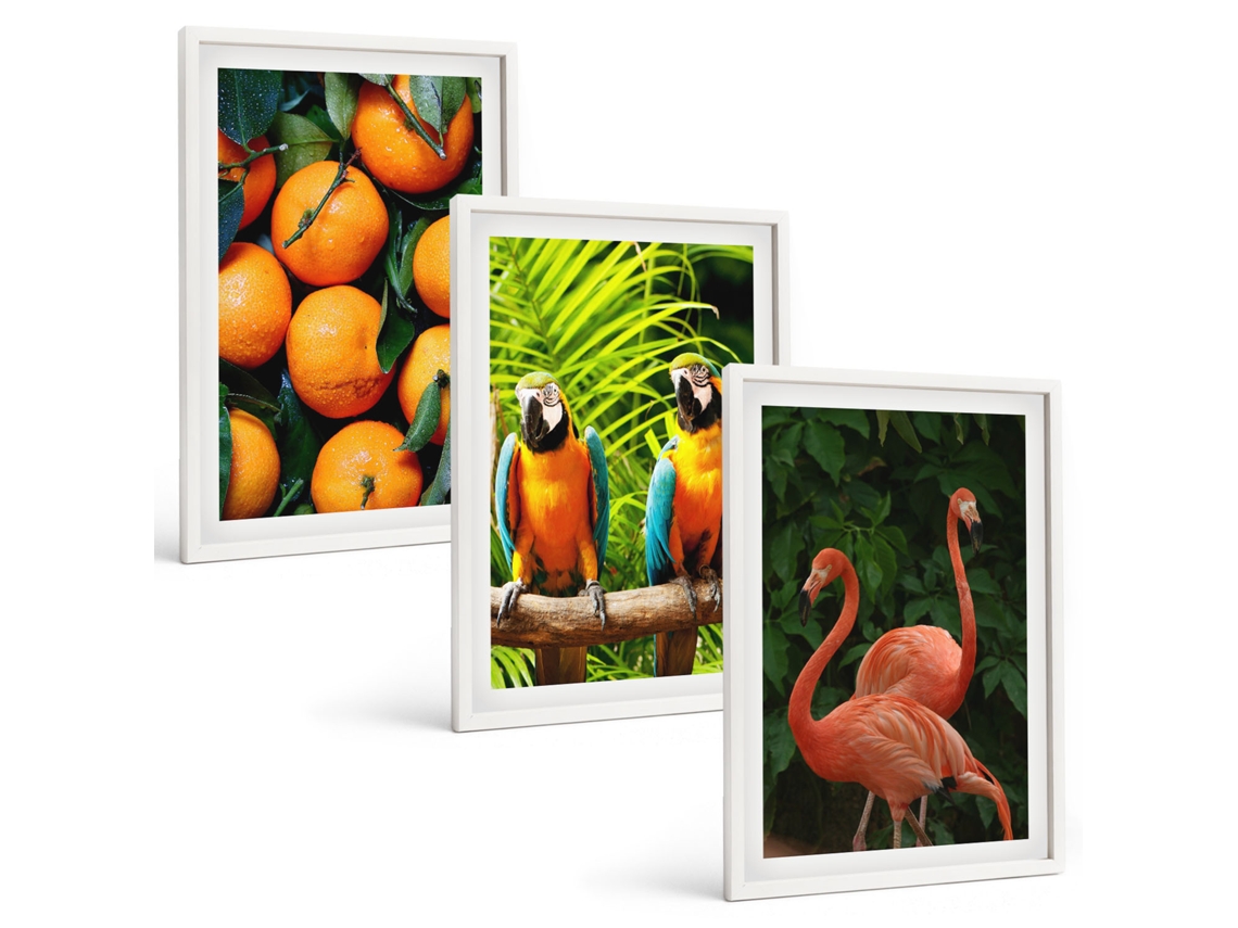 Conjunto De Pinturas Detalhes De Frutas Tropicais Espelharte (3 Peças 40x60 Cm)