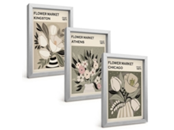 Um Conjunto De Imagens Decorativas Em Uma Molduracomposições Florais Retrô Moldura Prateada Pinturas De Quarto Espelharte (3 Peças 20x30 Cm)