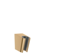 Suporte de Duche HANSGROHE Porters Cor: Bronze Escovado