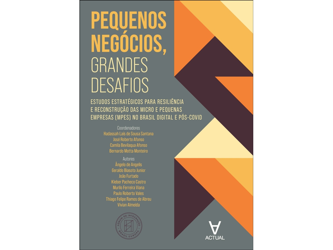 Livro Pequenos Negócios, Grandes Desafios de Hadassah Laís De Sousa (Poortugues do Brasil)