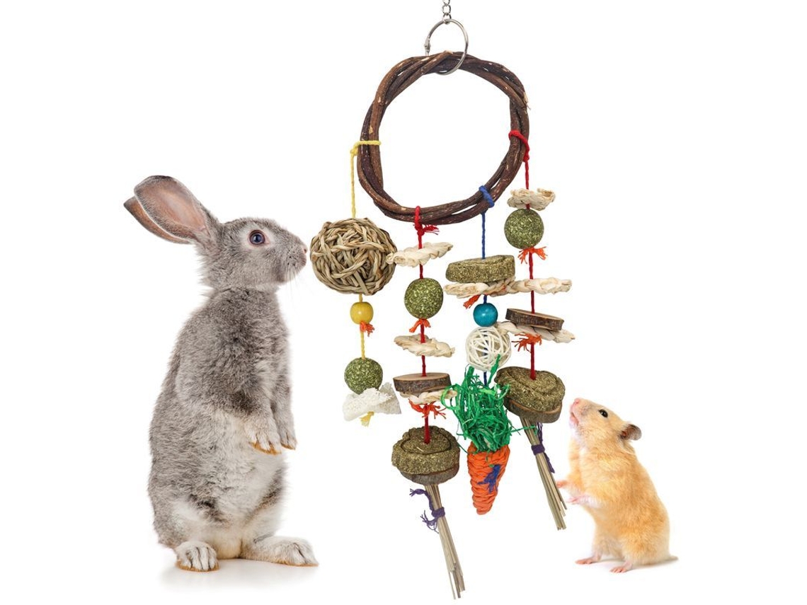 2026 accesorios de Cuidado Dental Y Entretenimiento para Mascotas Pequeñas: Conejos, Chinchillas, Cobayas