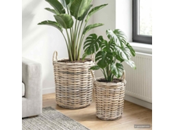 Vidaxl Cesta De Plantas Gendt 2 Unid. Cinza Natural Rattan Kubu