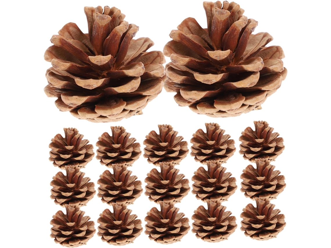 Conjunto De 48 Enfeites De Natal Com Flores Secas Marrons, Ideais Para Pendurar Na Árvore De Natal. Gokoco