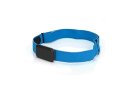 Monitor De Frequência Cardíaca, Cinta Peitoral Para Esportes Ao Ar Livre, Pulseira De Frequência Cardíaca Bluetooth Jinyubo Store