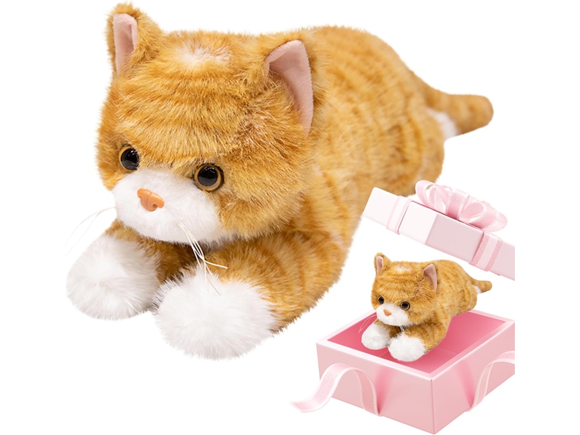 Gato peludo com peso