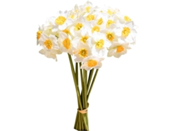 12 Narcisos Artificiais Brancos de 40 Cm para Festa AQUAFORGE (16 Polegadas)