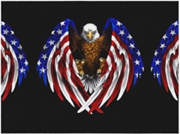 Manta de Flanela Ultramacia Phayah com Estampa Patriótica da Águia Americana Ideal para Sofá Cama Sala Estar e