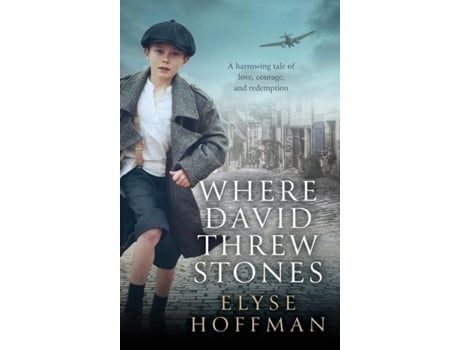 Livro Where David Threw Stones De Elyse Hoffman (inglês)