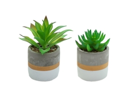 2 Peças de Mini Suculentas Simuladas em Vaso Ornamentos Criativos de Moda Plantas Artificiais NEVEANCE