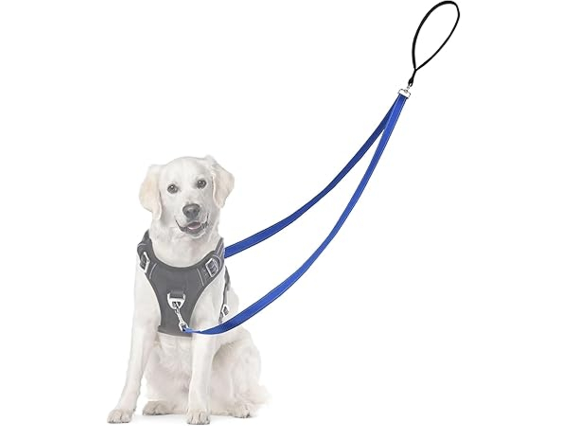 Colar Anti puxão para Cães, Anti enrolamento, Refletora, com Duas Trelas, Adequado de Grande e Médio Porte, Ergonômico, Uso Diário STELASPLEN