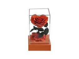 2026 rosa Corazón Eterno Preservada En Acrílico Transparente Regalo para San Valentín Cumpleaños Día de La Madre