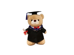 Urso de Pelúcia de Formatura Doutorado Presente para Crianças, Enfermeiro e Médico Beca com Gola Dourada CHABERLU