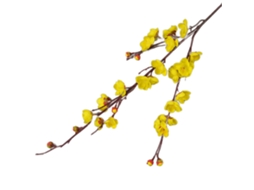 Árvore Artificial de Ameixeira Amarela, 93cm, Tronco Delgado LAXISCREED