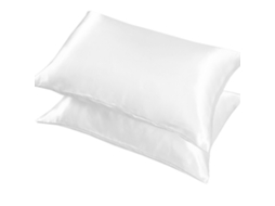 2 Fronhas de Seda Helada Blanco Puro 20*29 Polegadas ZYBLSSBB