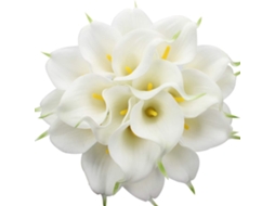Buquê de Noiva com 20 Lírios de cálice Artificiais, Flores de Látex Toque Realista, para Casa, Festas e Casamentos AQUAFORGE (branco e Amarelo)