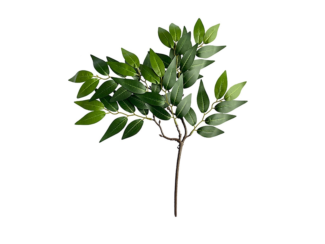 Arranjo De Flores Com Folhas De Eucalipto Da Laxiscreed Em Vasos Verdes E Bege Elegantes