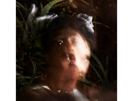 Santigold Spirituals Vinil Picture Disc Edição Limitada