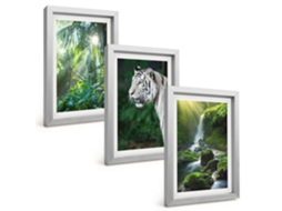 Galeria De Pinturas Muraisselva, Tigre, Cachoeira Moldura Prateada Fotos Para O Escritório Espelharte (3 Peças 20x30 Cm)