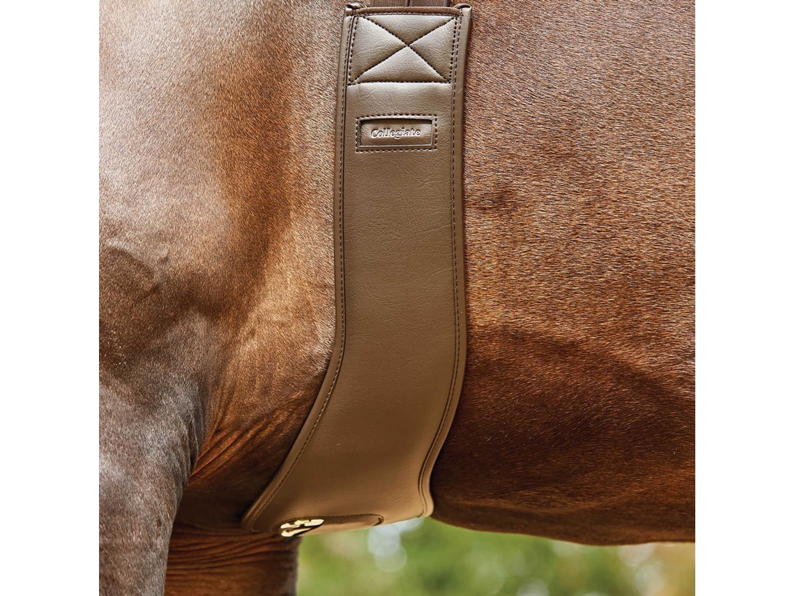 Cinta Anatómica para Cavalos WEATHERBEETA Collegiate