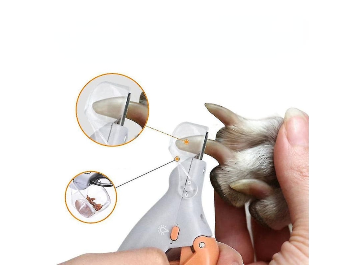 2026-tijeras De Corte De Uñas Profesionales Para Mascotas Con Luz Led Y Lupa Aumentadora Para Perros Y Gatos