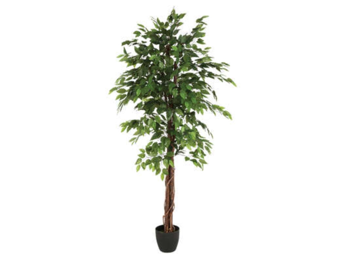 Árvore Ficus Verde Artificial FACTORY CUADROS