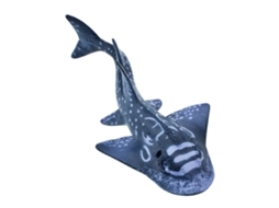 SAFARI Shark Ray