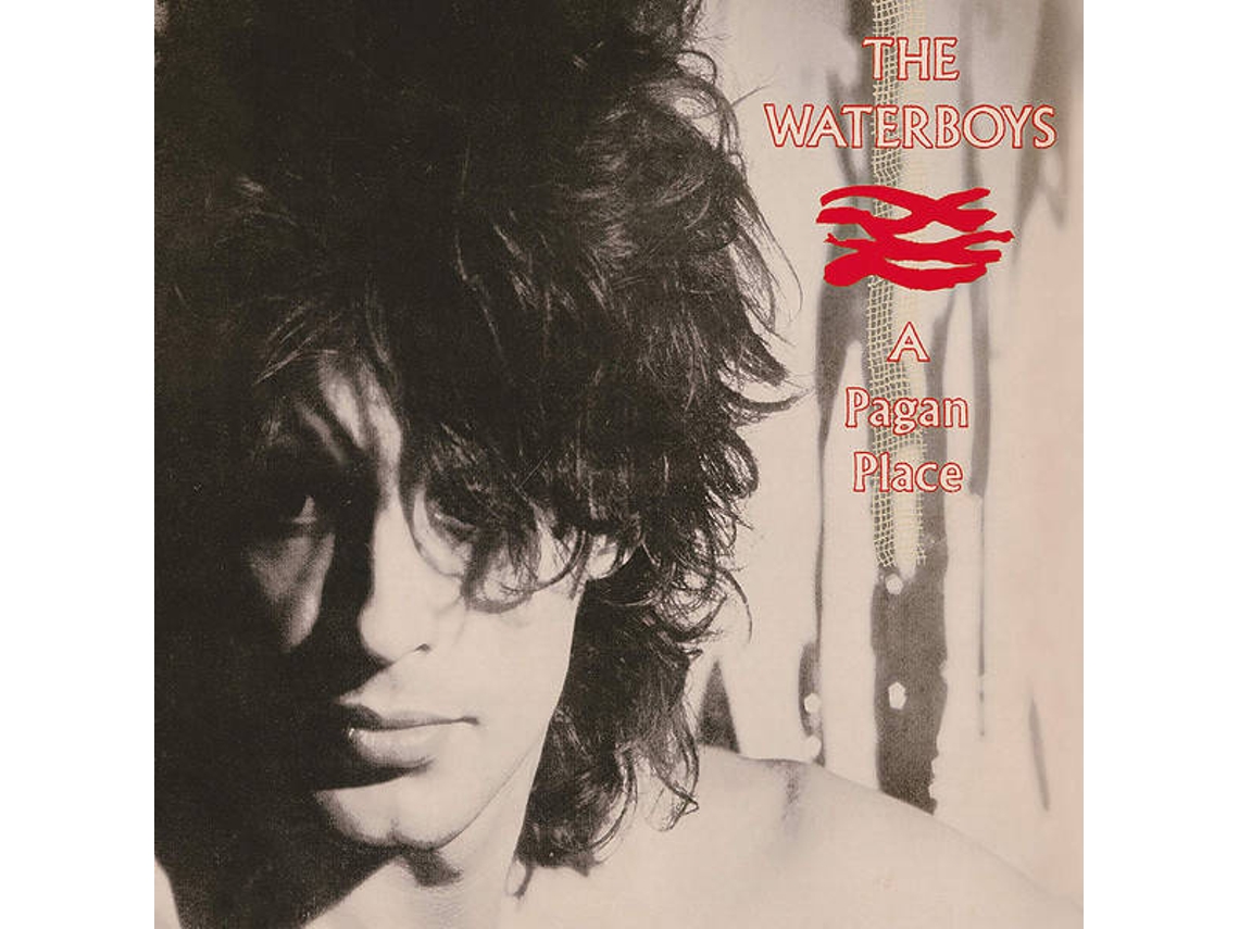 CD The Waterboys - A Padlás (1CDs)