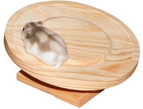 Brinquedo KERBL Roda para Hamster (Dimensões: 20 cm)