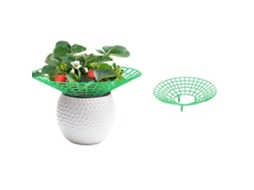 Soporte Para Fresas De 30x30 Cm
