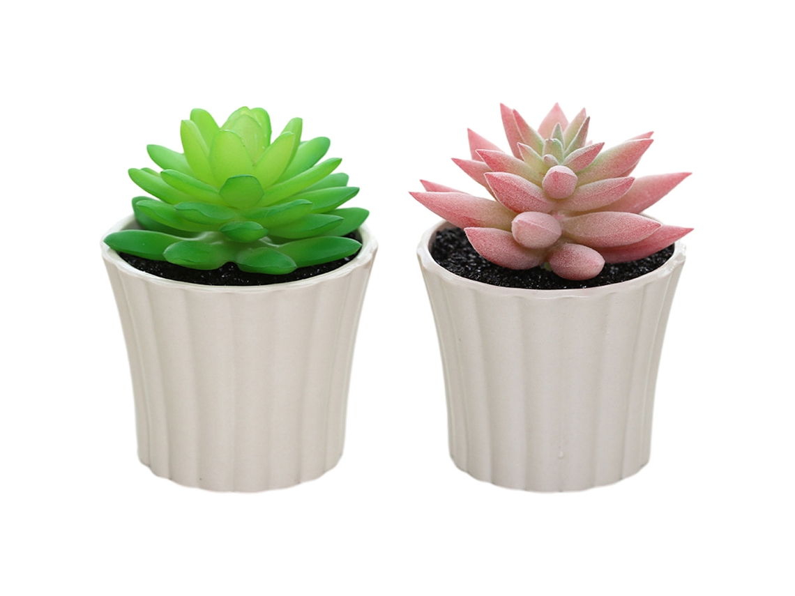 2Pcs Combinação de Suculentas Mini em Vaso Pequenos Ornamentos Criativos RNEMITERY