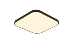 Led Plafon Ip44 Preto 27 Cm 15 W Quarto Cozinha Regulável com Controle Remoto Banheiro Quadrado para Corredor NETTLIFE
