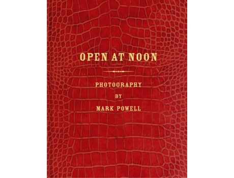 Livro Open At Noon de Mark Powell (Inglês)