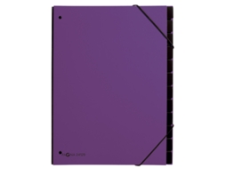 Pasta de Mesa PAGNA Trend Din A4 12 Compartimentos Roxo