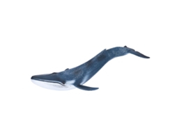 Primerox brinquedo de Baleia Azul Mini Figurina Marinha Educativa Animal Oceano para Crianças