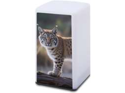 Luminária Noturna Quadrada Portátil Sem Fio Minimalista Wild Bobcat, Ideal Mesa De Cabeceira, Acessório