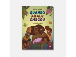 Livro Quando Analu Chegou De Sonia Rosa (português Do Brasil)