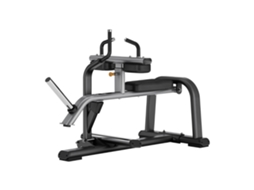 Seated Calf Toorx Raise Fwx-9700