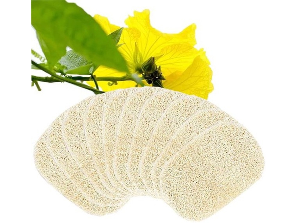 Escolha Sólida - Loofah De Esponja 10 Unidades - Loofah Natural - 13 X 8 Cm - Caixa De Sabão - Acessórios Para Duche/sala De Banho - Biodegradável