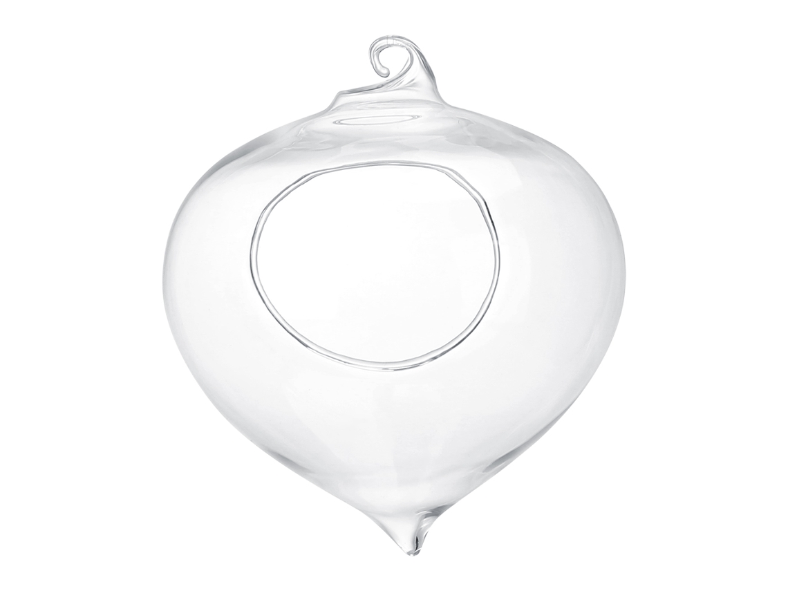 Vaso De Vidro Suspenso Para Plantas Suculentas, Ideal Para Decoração De Casa E Jardim Other