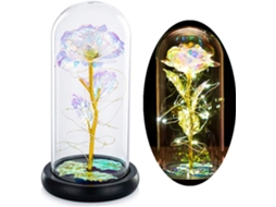 Domo de Vidro em Forma Rosa da Bela e a Fera com Luzes Led Fluxo Cristal BRILVIBERA